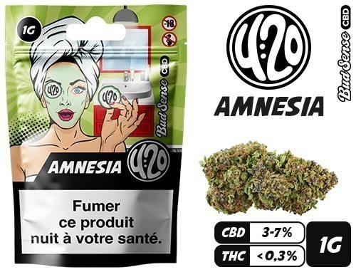 Pochon Budsense 420 ''Amnesia''