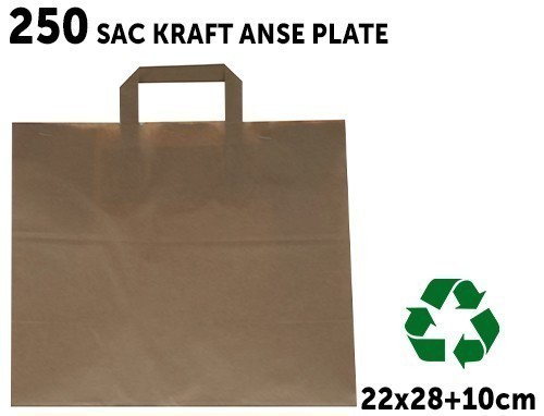 250 Sac Kraft Anse Plate 22X28 10Cm (1)