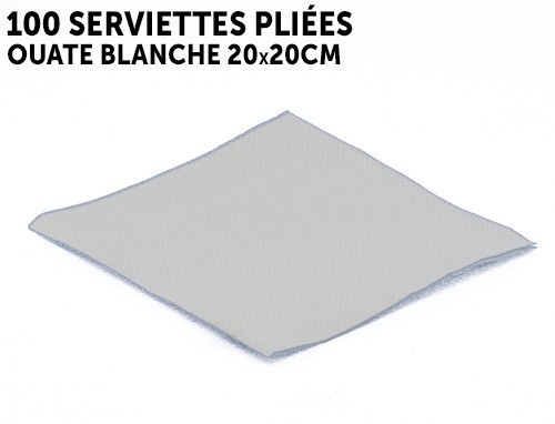 100 Serviettes Ouate Blanche 10X10 Cm Pliees (12)