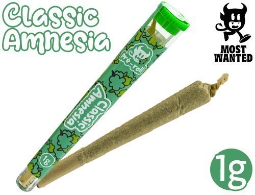 Pre-Roule Most Wanted Amnesia (30)
