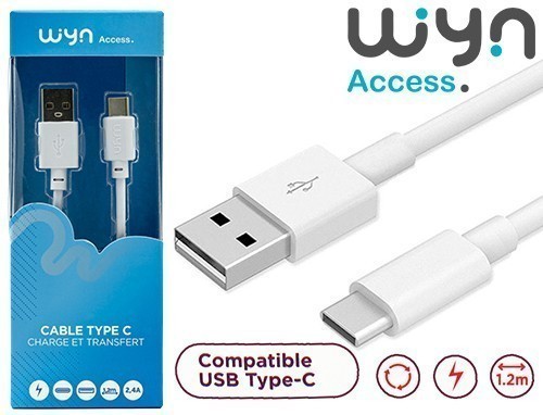 Cable Type-C Standard Blanc 1.2M 2.4A (1)