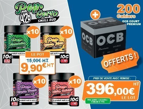 Vente Flash Small Bud ''Pop''