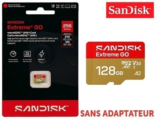 Sandisk Micro Sd Extreme 128Go 120Mb S