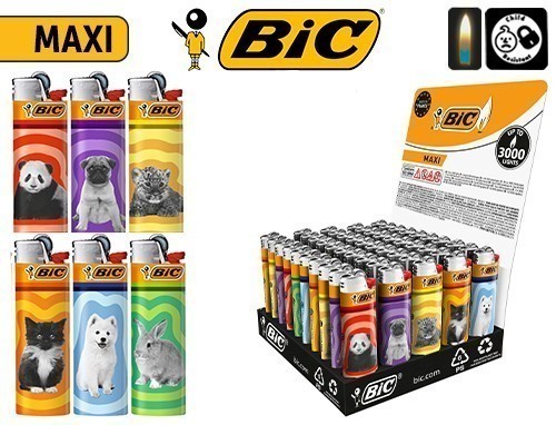 Briq. Bic J26 Maxi ''Baby'' (50)